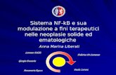 Sistema NF-kB e sua modulazione a fini terapeutici nelle neoplasie solide ed ematologiche Anna Marina Liberati Lorenzo Falchi Giorgia Desantis Annamaria.