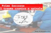 Il Primo Soccorso nel trauma cranico e spinale Roma, 26 Novembre 2012.