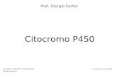 Citocromo P450 Prof. Giorgio Sartor Copyright © 2001-2007 by Giorgio Sartor. All rights reserved. Versione 3.5 – oct 2007.