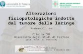 Alterazioni fisiopatologiche indotte dal tumore della laringe Andrea Ciorba Clinica ORL Università degli Studi di Ferrara (Dir. Prof. A. Pastore) LVII.