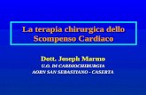 La terapia chirurgica dello Scompenso Cardiaco Dott. Joseph Marmo U.O. DI CARDIOCHIRURGIA AORN SAN SEBASTIANO - CASERTA.