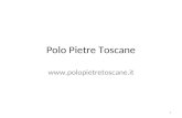 Polo Pietre Toscane  1. Dimensione del settore lapideo toscano Nr. cave attiveca. 150 Nr. imprese settore marmo:1.026 Nr. imprese.