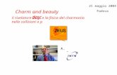 Charm and beauty day: A. Bertolin il rivelatore ZEUS e la fisica del charmonio nelle collisioni e p 21 maggio 2004 Padova.