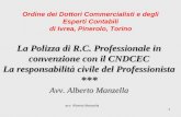 Avv. Alberto Manzella 1 La Polizza di R.C. Professionale in convenzione con il CNDCEC La responsabilità civile del Professionista *** Avv. Alberto Manzella.