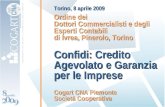 Torino, 8 aprile 2009 Ordine dei Dottori Commercialisti e degli Esperti Contabili di Ivrea, Pinerolo, Torino Confidi: Credito Agevolato e Garanzia per.