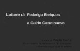 Lettere di Federigo Enriques a Guido Castelnuovo a cura di Paola Gario Dipartimento di Matematica F. Enriques Università degli studi di Milano.