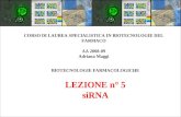 BIOTECNOLOGIE FARMACOLOGICHE LEZIONE n° 5 siRNA CORSO DI LAUREA SPECIALISTICA IN BIOTECNOLOGIE DEL FARMACO AA 2008-09 Adriana Maggi.