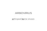 ARBOVIRUS arthropod borne viruses. Arbovirus Virus trasmessi agli ospiti vertebrati suscettibili (talvolta anche alluomo) attraverso la puntura di artropodi.