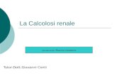 La Calcolosi renale Tutor:Dott.Giovanni Conti Specializzanda : Beatrice Cammarere.