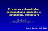 Il cancro colorettale: epidemiologia generale e patogenesi molecolare Reggio Emilia, AIRT 2006 Piero Benatti Registro Tumori Colorettali di Modena Università