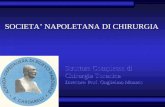 Struttura Complessa di Chirurgia Toracica A.O.R.N. A. Cardarelli - Napoli SOCIETA NAPOLETANA DI CHIRURGIA.