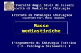 Masse mediastiniche Università degli Studi di Sassari Facoltà di Medicina e Chirurgia Istituto di Patologia Chirurgica (Direttore Prof. Mario Trignano)