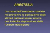 Lo scopo dellanestesia consiste nel prevenire la percezione degli stimoli dolorosi senza indurre una indebita depressione delle funzioni fisiologiche ANESTESIA.
