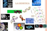 LA GENETICA. GENETICA La genetica (dal greco antico γενετικός ghenetikós, «relativo alla nascita»,) La genetica molecolare pone le sue basi sulla genetica.