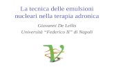 La tecnica delle emulsioni nucleari nella terapia adronica Giovanni De Lellis Università Federico II di Napoli.