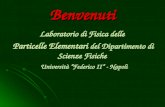 Benvenuti Laboratorio di Fisica delle Particelle Elementari del Dipartimento di Scienze Fisiche Università Federico II - Napoli Università Federico II.