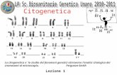 La citogenetica e` lo studio dei fenomeni genetici attraverso lanalisi citologica dei cromosomi al microscopio. Ferguson-Smith Lezione 1 Citogenetica.