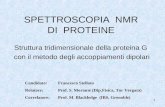 1 SPETTROSCOPIA NMR DI PROTEINE Struttura tridimensionale della proteina G con il metodo degli accoppiamenti dipolari Candidato: Francesco Stellato Relatore: