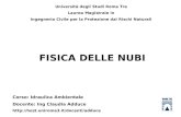 FISICA DELLE NUBI Università degli Studi Roma Tre Laurea Magistrale in Ingegneria Civile per la Protezione dai Rischi Naturali Corso: Idraulica Ambientale.