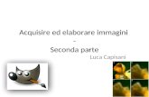 Acquisire ed elaborare immagini - Seconda parte Luca Capisani.