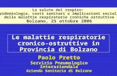 Le malattie respiratorie cronico- ostruttive in Provincia di Bolzano Paolo Pretto Servizio Pneumologico Interaziendale Azienda Sanitaria di Bolzano La.