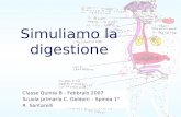 Simuliamo la digestione Classe Quinta B - Febbraio 2007 Scuola primaria C. Goldoni – Spinea 1° R. Santarelli.