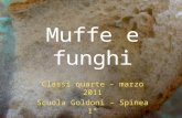 Muffe e funghi Classi quarte – marzo 2011 Scuola Goldoni – Spinea 1° R. Santarelli, S. Dei Rossi.