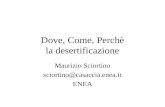 Dove, Come, Perchè la desertificazione Maurizio Sciortino sciortino@casaccia.enea.it ENEA.