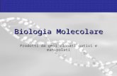 Biologia Molecolare Prodotti da geni clonati nativi e manipolati.