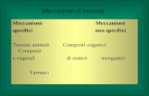 Meccanismi di tossicità Meccanismi specifici non specifici Tossine animaliComposti organici Composti e vegetali di sintesi inorganici Farmaci.