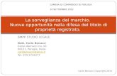 BMPP STUDIO LEGALE Dott. Carlo Bonucci Corso Vannucci no. 10 06121, Perugia, Italia. carlobonucci@alice.it Tel. 075 5732277 La sorveglianza del marchio.