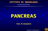 Istituto di Radiologia – Università di Parma ISTITUTO DI RADIOLOGIA Università di Parma PANCREAS Prof. M. Zompatori.