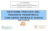 U.O. Pediatria Direttore: Prof. P. Paolucci Scuola di Specializzazione in Pediatria Direttore Prof. L. Iughetti GESTIONE PRECOCE DEL PAZIENTE PEDIATRICO.