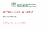 DOTTORE: cosè la SEPSI? Giovanni Pinelli World Sepsis Day Modena 13/9/2012.