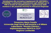 Domenico Maria Cavallo Università degli Studi dellInsubria e di Milano Laboratorio "Rischio Chimico - Implementazione REACH & CLP Regione Lombardia Introduzione