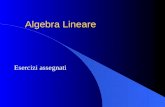 Algebra Lineare Esercizi assegnati. l Algortimi e codici C per: –Prodotto scalare - vettore –Prodotto scalare - matrice –Prodotto matrice - vettore –Prodotto.