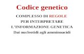 Codice genetico COMPLESSO DI REGOLE PER INTERPRETARE LINFORMAZIONE GENETICA Dai nucleotidi agli amminoacidi.
