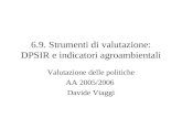 6.9. Strumenti di valutazione: DPSIR e indicatori agroambientali Valutazione delle politiche AA 2005/2006 Davide Viaggi.