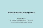 Metabolismo energetico Capitolo 7: Le vie del metabolismo cellulare che liberano energia chimica.