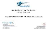 Apindustria Padova Area Tributi SCADENZIARIO FEBBRAIO 2010 In collaborazione con Studio Commercialista Dott. Rag. Stefania Bellavere Area Tributi Dott.