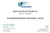 Apindustria Padova Area Tributi SCADENZIARIO GIUGNO 2010 In collaborazione con Studio Commercialista Dott. Rag. Stefania Bellavere Area Tributi Dott. Rag.