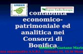 La contabilità economico-patrimoniale ed analitica nei Consorzi di Bonifica Relatore: Gaetano Marini Conferenza organizzativa A.N.B.I. – Grosseto 14, 15,16.