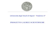 Università degli Studi di Napoli Federico II PROGETTO LAUREE SCIENTIFICHE.