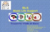BLS Basic Life Support Supporto Vitale di Base Maurizio Cecchini Scuola di Specializzazione in Medicina di Urgenza ed Emergenza Universita di Pisa.