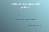 1 Profili di responsabilità penale Lecco, 6 maggio 2009 avv. Ugo Lecis.
