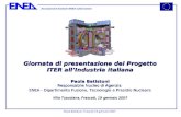 Associazione Euratom-ENEA sulla fusione Paola Batistoni, Frascati 19 gennaio 2007 Giornata di presentazione del Progetto ITER allIndustria italiana Paola.