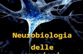 Neurobiologia delle emozioni. Il sistema nervoso centraleperifericoautonomo Sistema endocrino ormoni e ghiandole cervello midollo spinale nervi sensoriali.