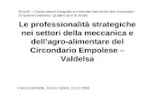 Le professionalità strategiche nei settori della meccanica e dellagro-alimentare del Circondario Empolese – Valdelsa Franco Bortolotti, Enrico Fabbri,