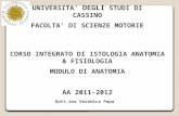 UNIVERSITA DEGLI STUDI DI CASSINO FACOLTA DI SCIENZE MOTORIE CORSO INTEGRATO DI ISTOLOGIA ANATOMIA & FISIOLOGIA MODULO DI ANATOMIA AA 2011-2012 Dott.ssa.