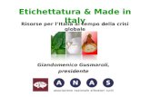 Etichettatura & Made in Italy Risorse per lItalia al tempo della crisi globale Giandomenico Gusmaroli, presidente.